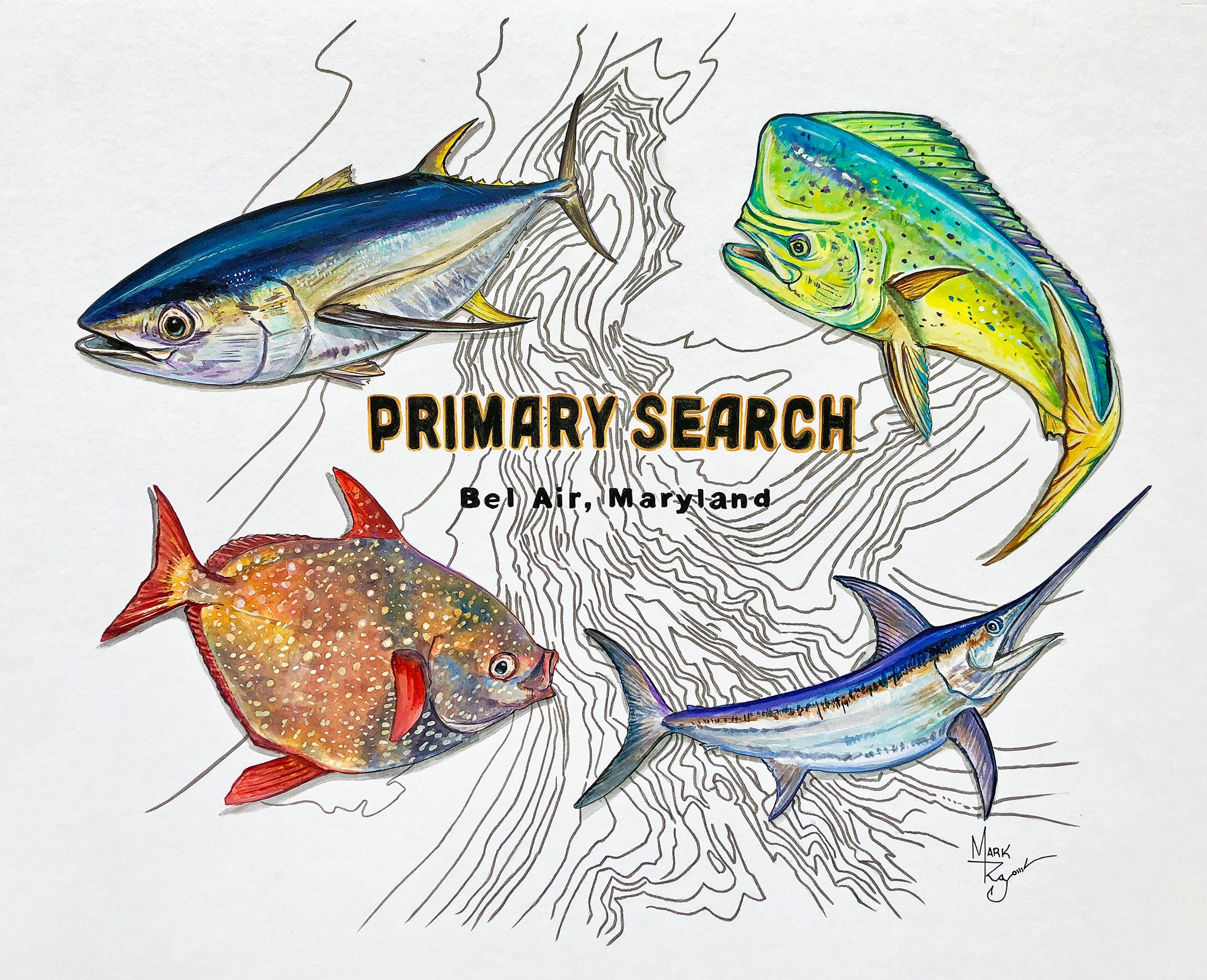 Primary Search